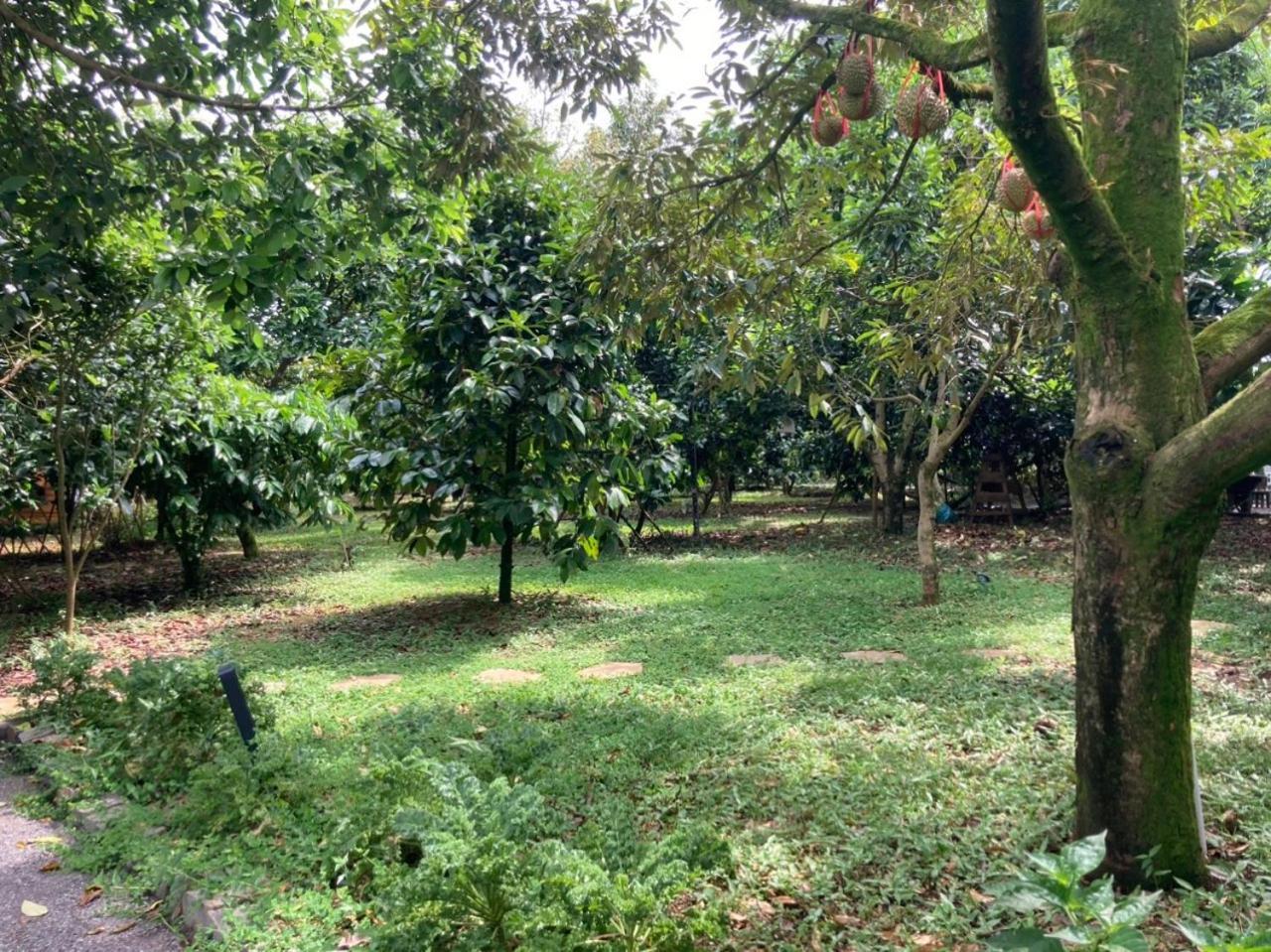 Homestay Vuon Trai Cay Nhiet Doi Vo Uu Garden Bảo Lộc Ngoại thất bức ảnh